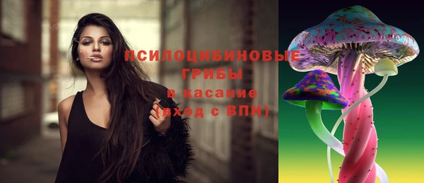 спиды Дмитров