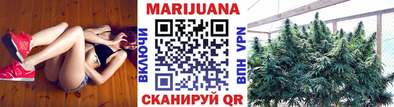 Конопля сатива  Бодайбо 